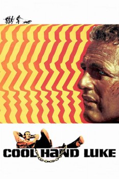 poster Cool Hand Luke&nbsp;&nbsp;(1967)